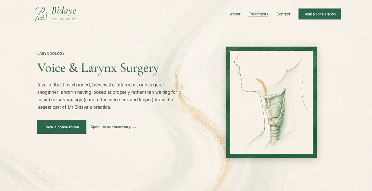 The Voice & Larynx Surgery page on the live site: a serif headline over a cream, brushstroke-textured background, a short plain-English introduction about a voice that has changed or tires by the afternoon, two buttons, and a framed line illustration of the throat and larynx with one gold accent.